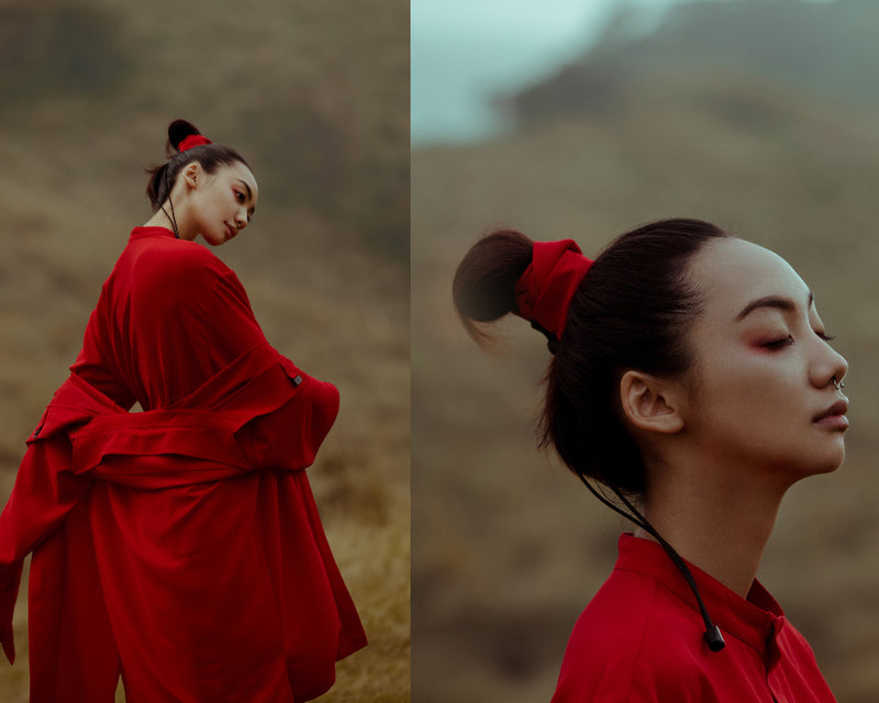 Wuxia
